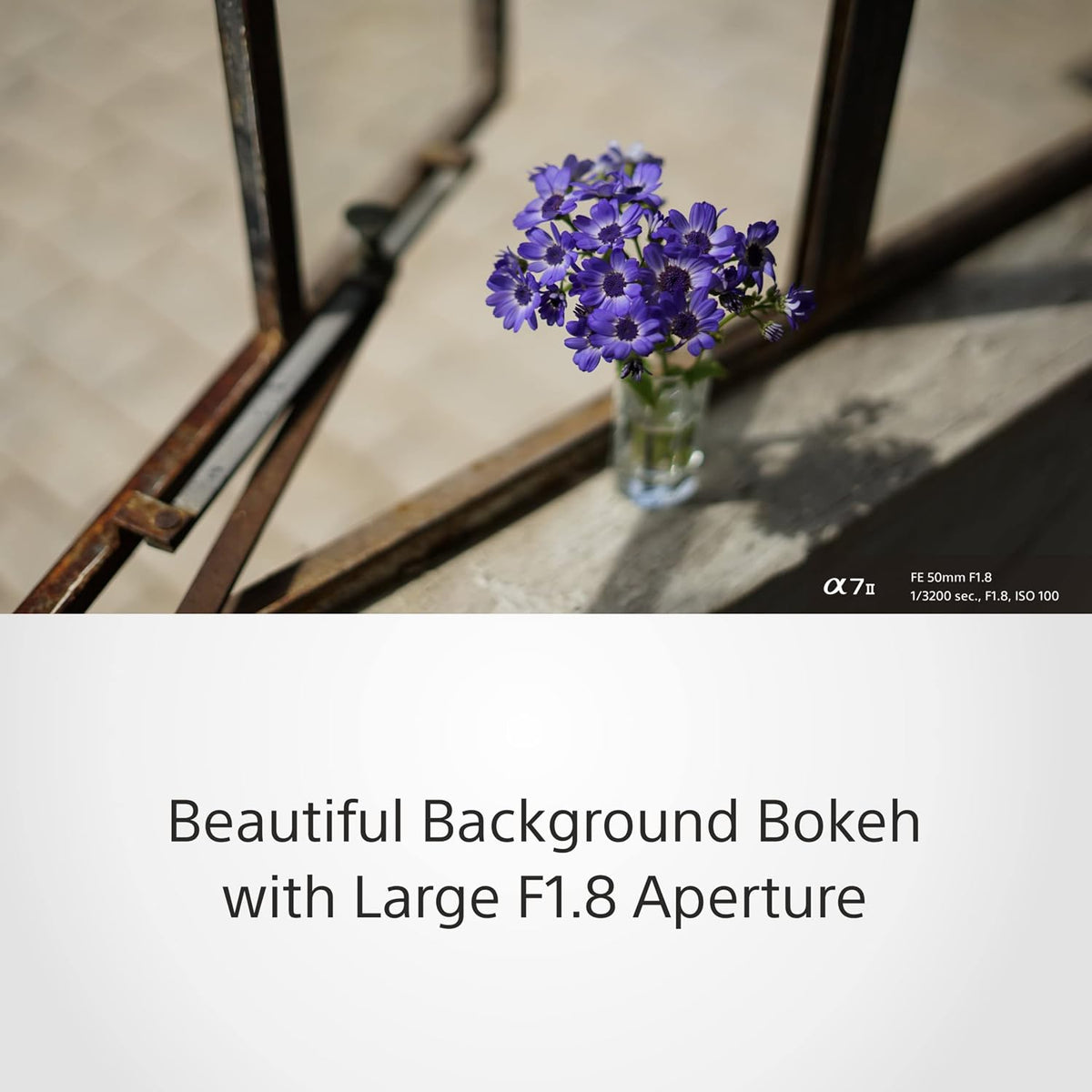 Sony FE 50mm F1.8 SEL50F18F